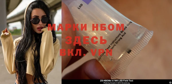 дживик Арсеньев