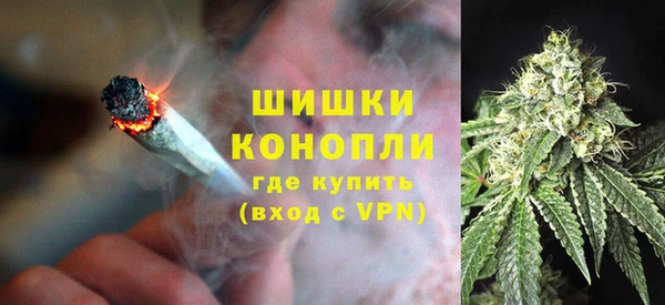 дживик Арсеньев