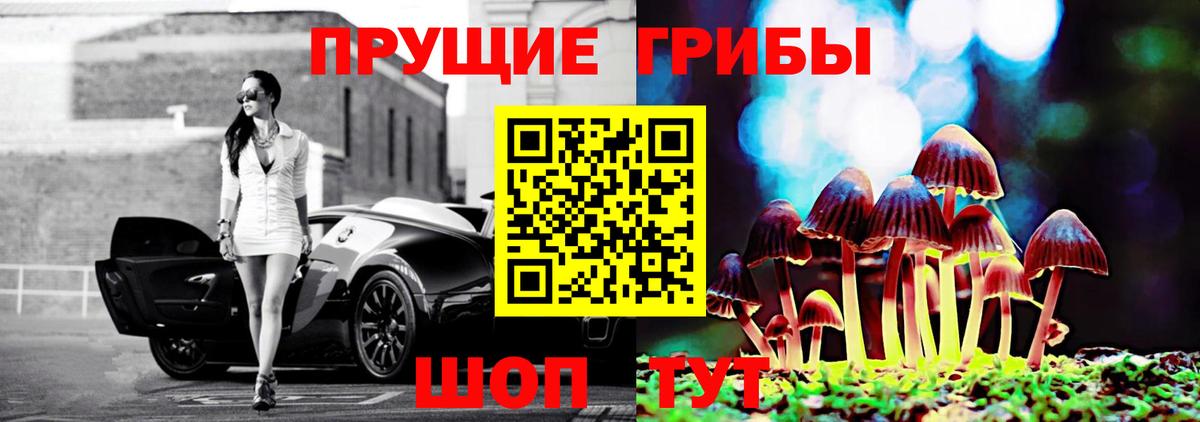 Углич  Галлюциногенные грибы GOLDEN TEACHER  где можно купить   Вход с VPN 